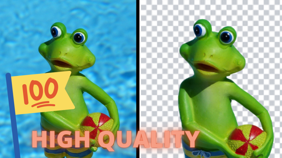 I will do background removal or background change.