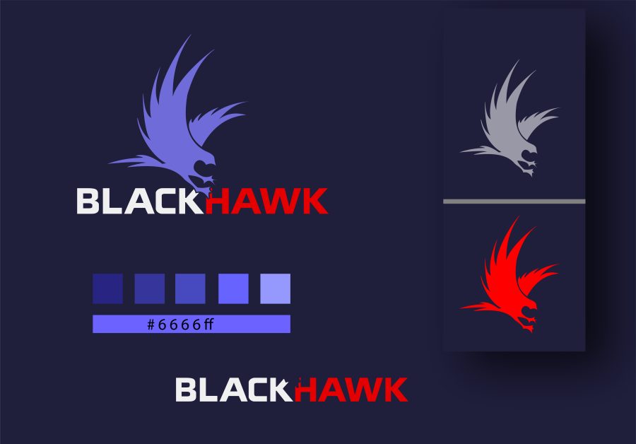  I will design Modern Minimalist versatile business logo for you