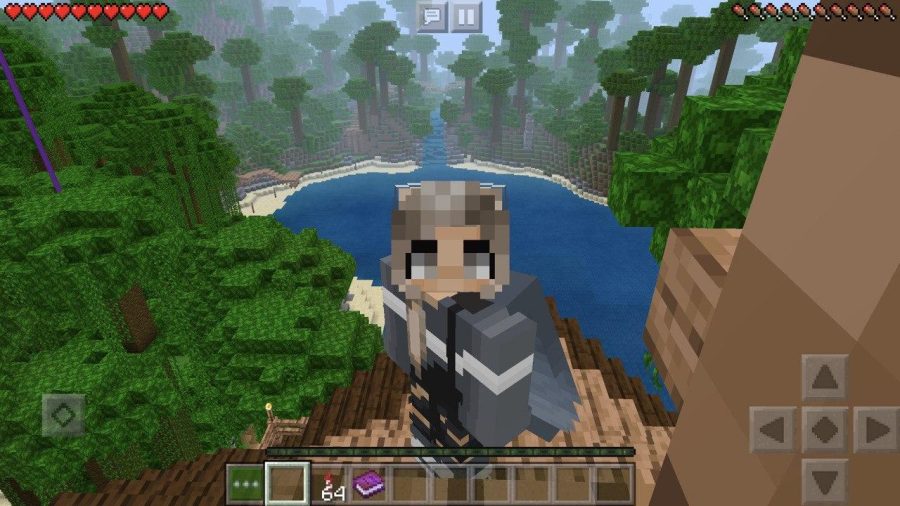 I will help you with Minecraft
