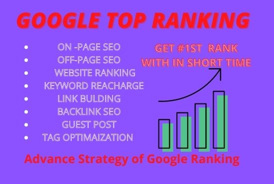 provide monthly SEO service for google top ranking