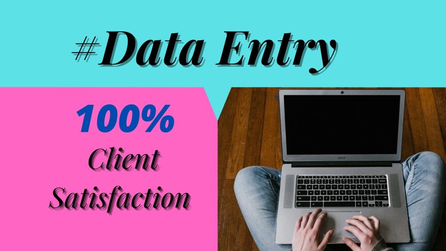 We will do excel data entry, copy paste and web research