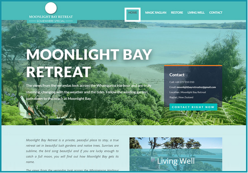 I will Develop your best business website or E-commerce