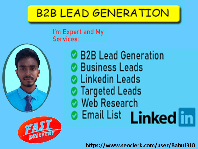 I will provide 50 targeted b2b lead generation and web research service