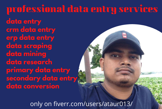 I will do data entry,copy paste,data conversion