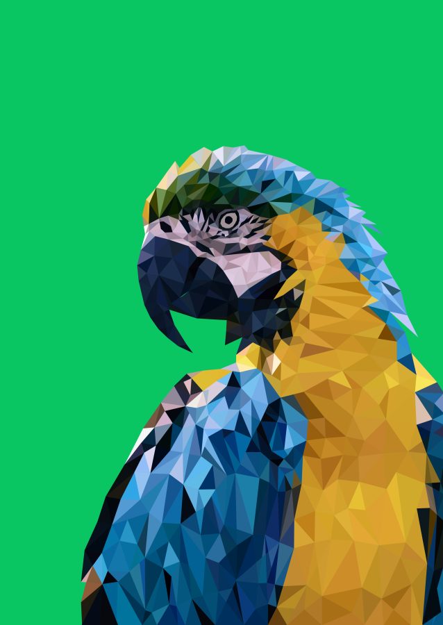 I will do low poly art/portrait of any image