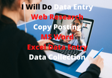 I will doOnline data entry, copy posting, excel,data collection,and other