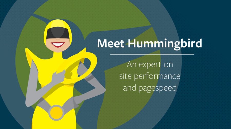 WPMU DEV Hummingbird Pro Current Version: 2.7.2