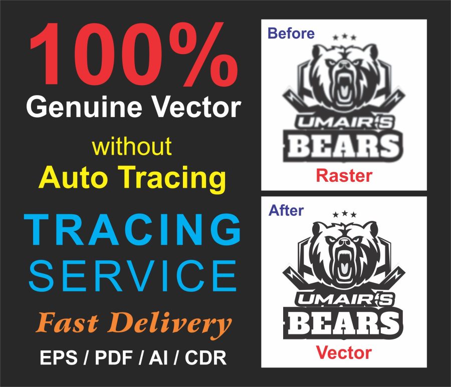 I will redraw, tracing, logo redraw, raster to vector, modify