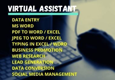 I am virtual assistant. Contact us to understand the work of any of your DATA ENTRY, EXCEL JOB.