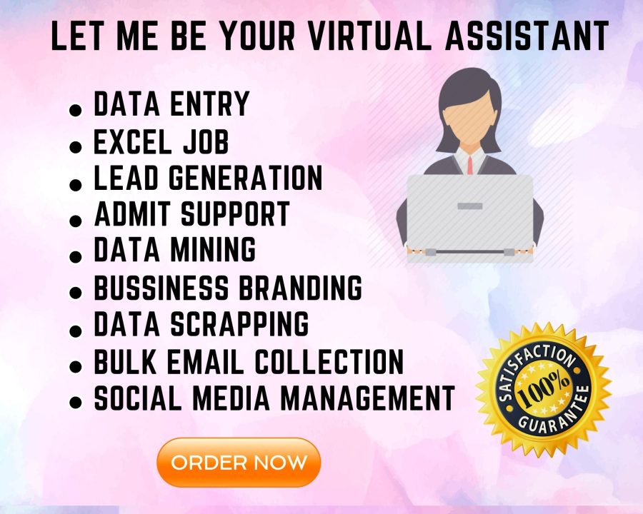 I will be your credible Virtual Assistant for Data Entry and Web Research