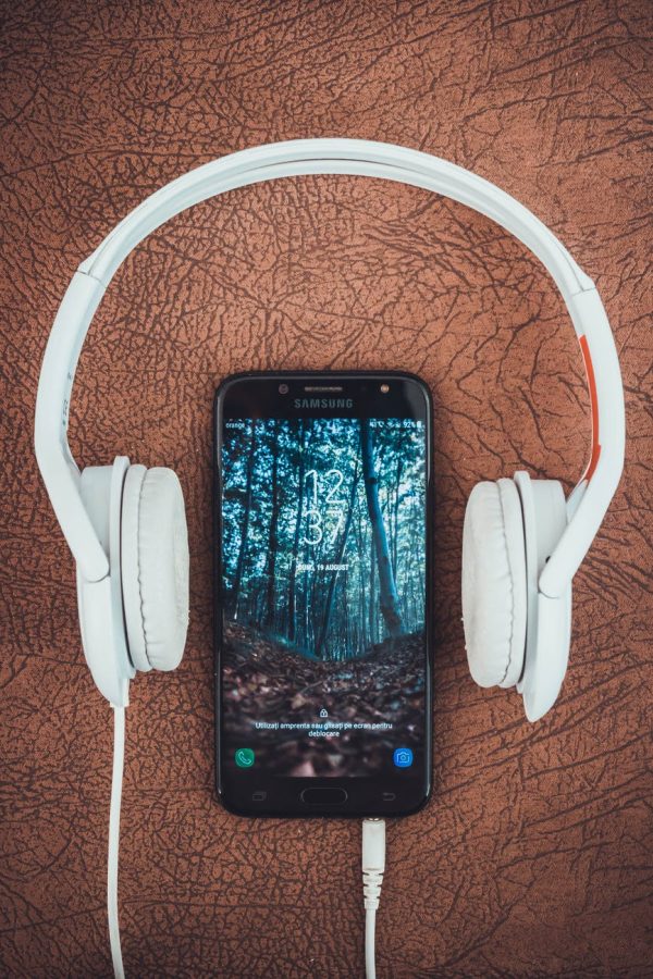 I will promote and viral your music in any online platforms