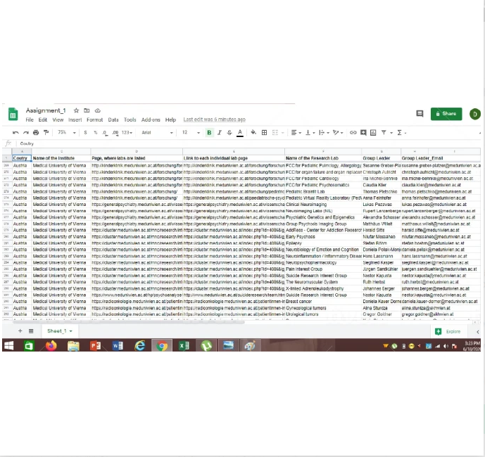 I will do perfect excel data entry, data analysis, typing and internet research