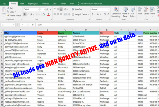 I will do b2b, b2c, targeted customer lead service