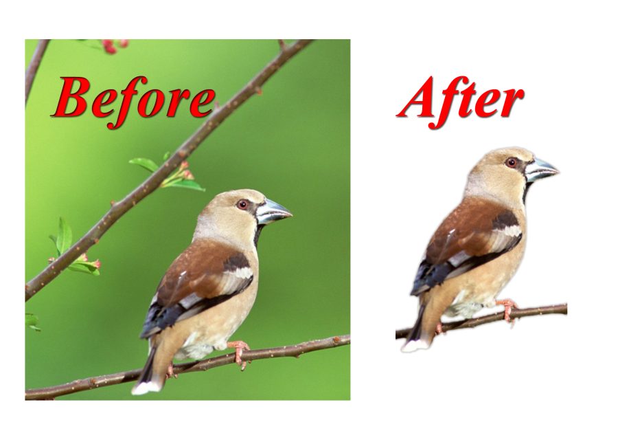 Remove 100+ image background professionally