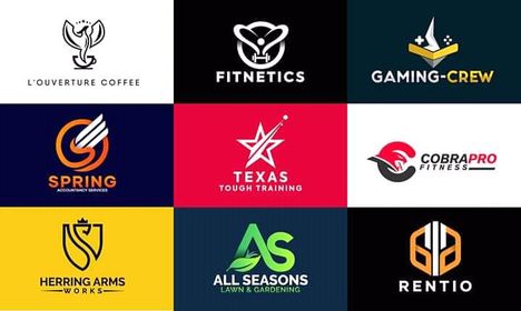 I will do professional logo design and Brand Identity