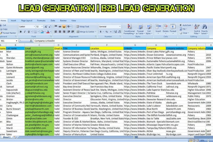I will do b2b lead generation, web research and targeted lead generation