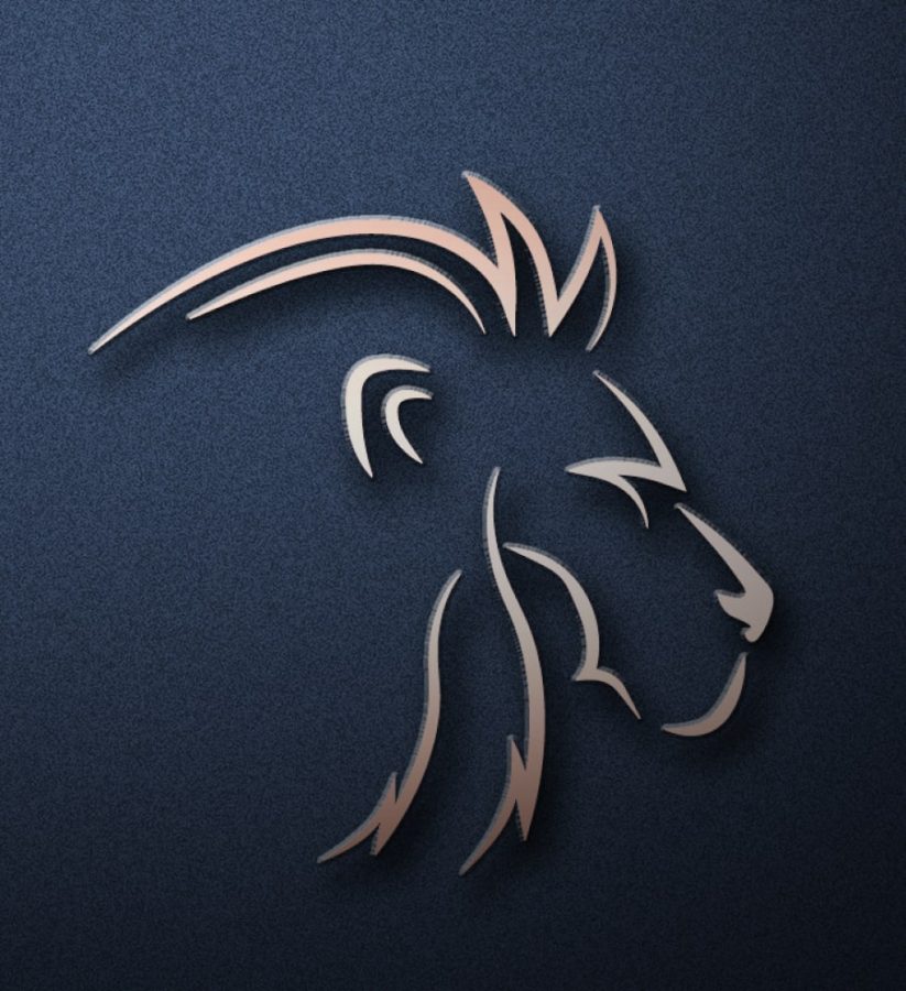 I will creative and unique design logo