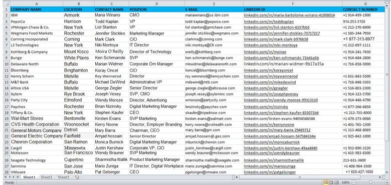 I will be your virtual assistant for data entry, data mining, web research, copy past 