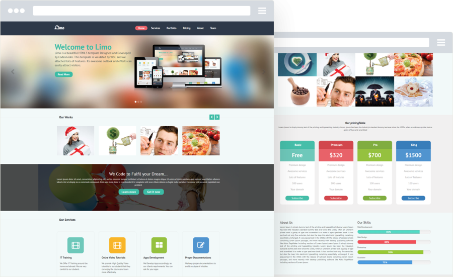 I will create your custom wordpress website