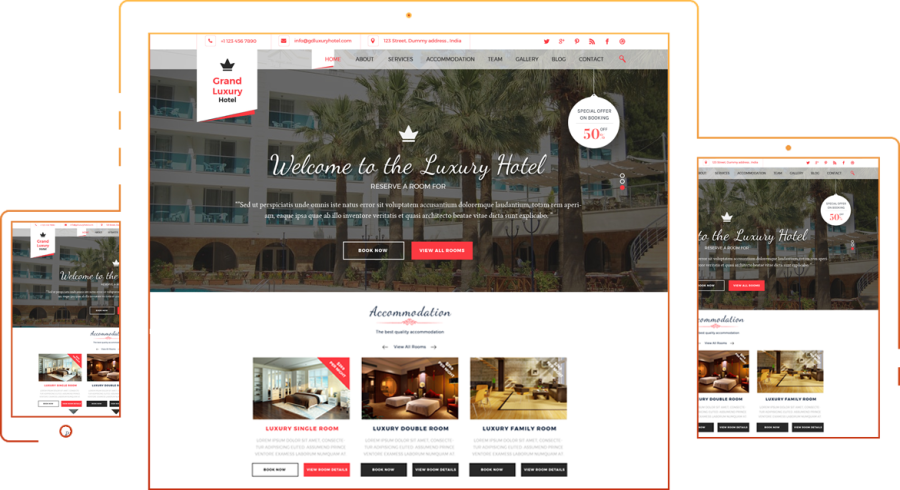 I will create your custom wordpress website
