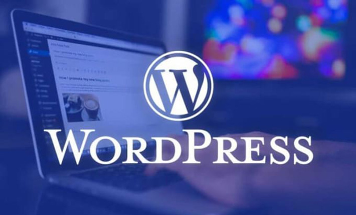 I will install WordPress, theme setup demo and do customization