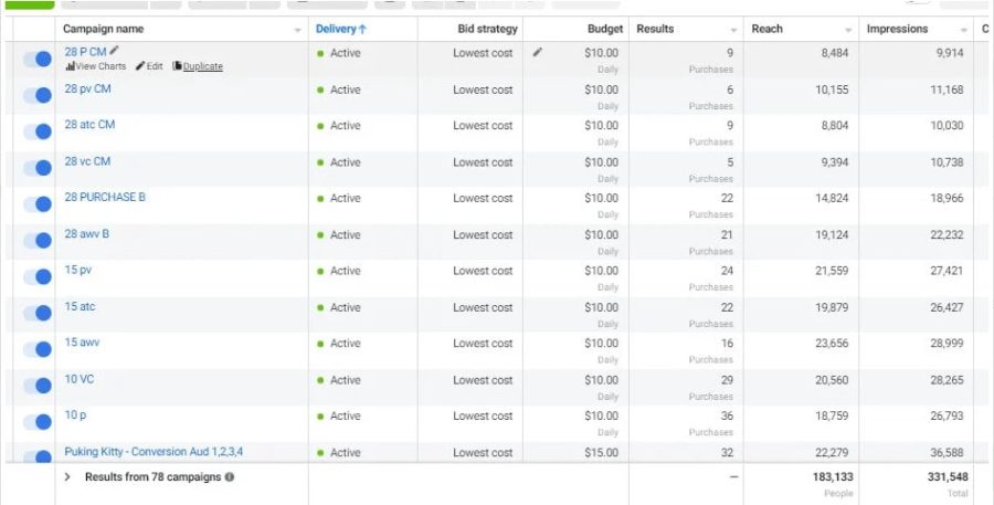I will run facebook ads campaign and instagram ads campaign
