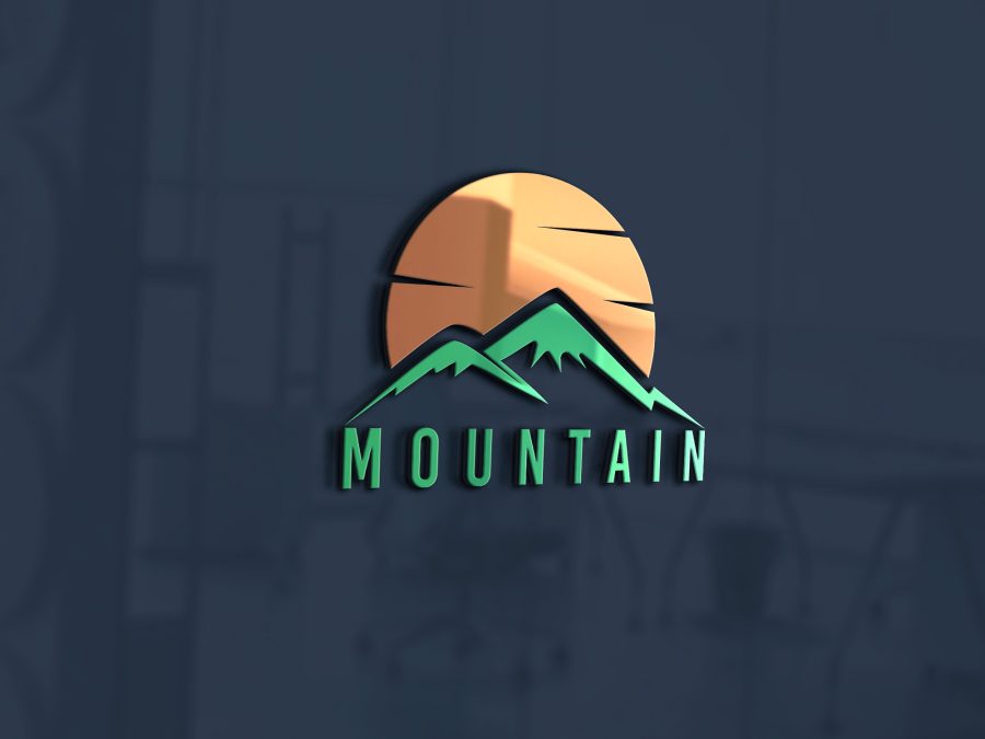 I will do business minimalist logo in 24 hours