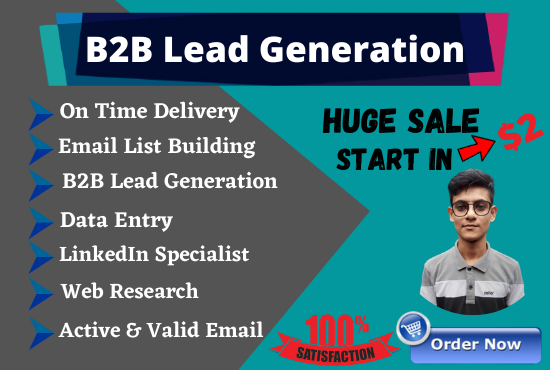 I will do b2b lead generation, web research, data entry for your business