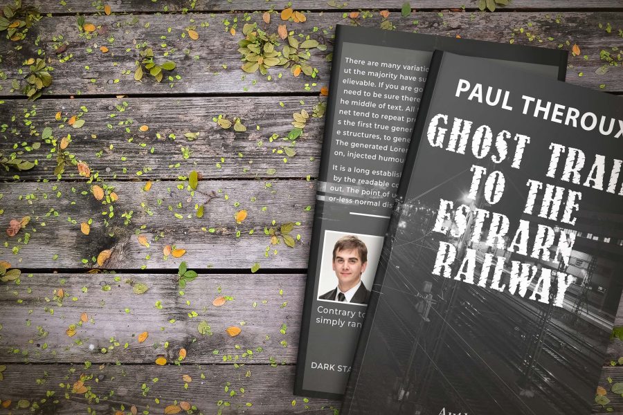 I will design professional book and ebook cover design