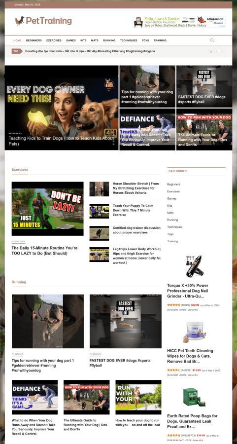 I will design fully automated website for income source
