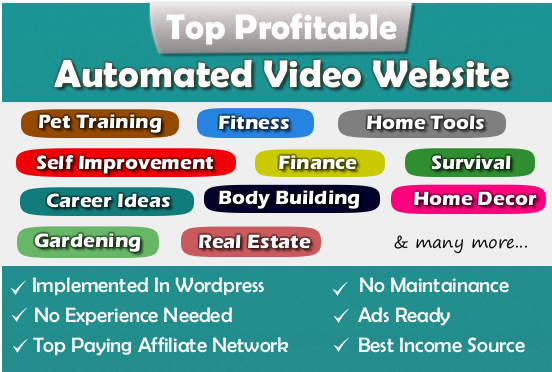 I will design fully automated website for income source