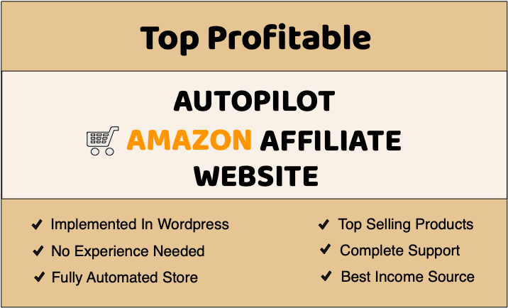 I will design fully automated affiliate store website for income source