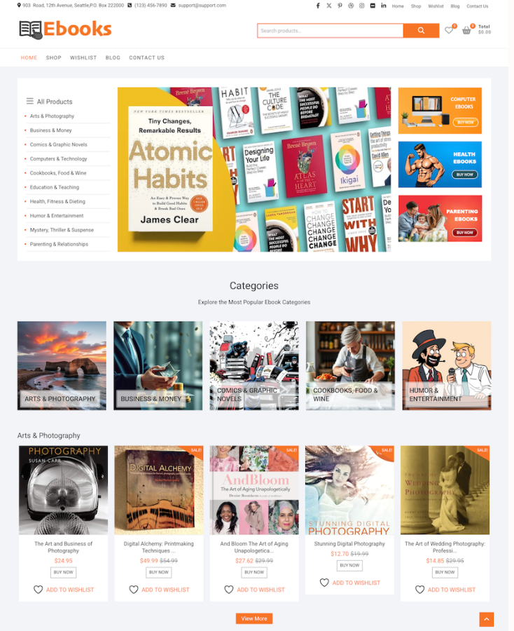 I will design fully automated affiliate store website for income source
