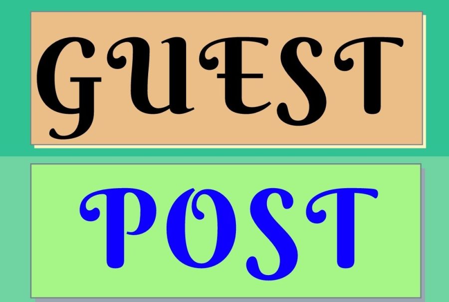 Publish 5 Guest Post on High Authority Website 