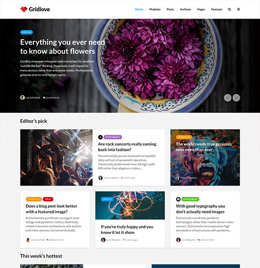 Gridlove wordpress magazine Theme latest version with free updates