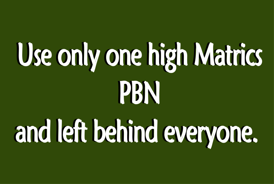 Build 5 High Metrics Homepage PBN Backlinks