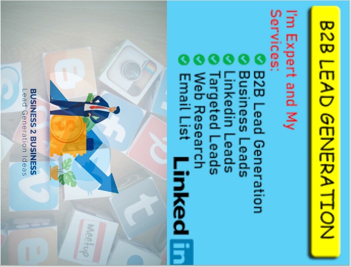 I will do b2b lead generation , targeted lead generation and web research