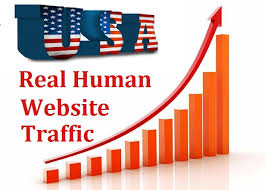 Bumper Offer 600,000 Worldwide Website USA Real Traffic Instagram,YouTube,Twitter,LinkedIn Traffic 