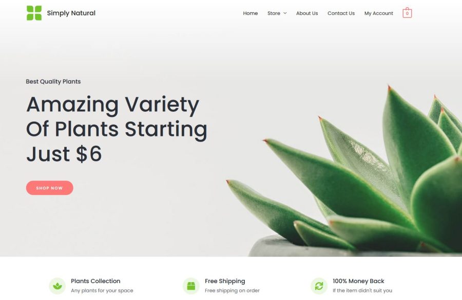 I will build ecommerce online store using woocommerce and elementor
