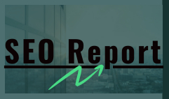 I will provide expert SEO report with competitor website analysis