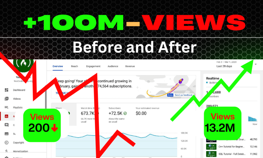 I will do best yt video SEO expert optimization and growth manager per video