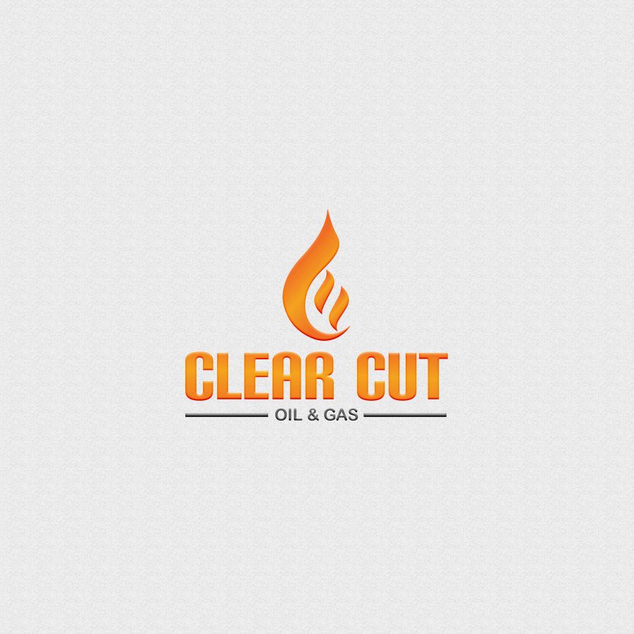 I will do professional unique minimalist logo design within 48 hours 