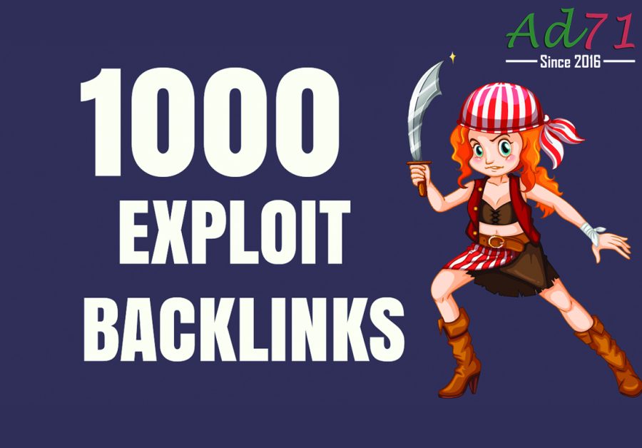 I will provide 1000 Exploit backlinks to push your website on the 1st page of Google