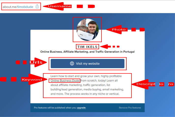 I Will Create 300 Effective Profile Backlinks Creations For SEO Ranking