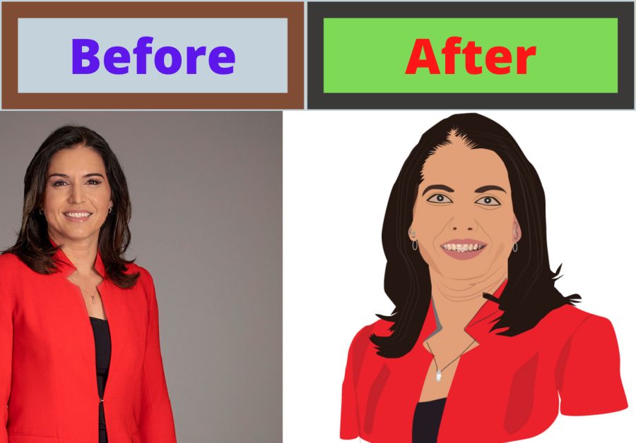 I will Make your Image into the Vector portrait art