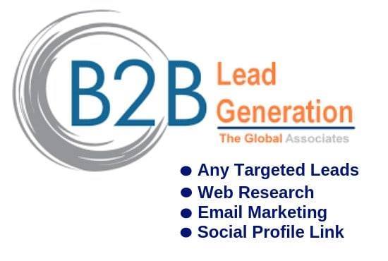 i will do web research , b2b lead generation and data entry within 24 hours