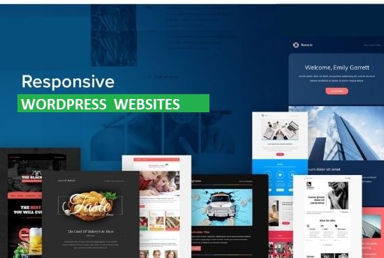Setup Custom Wordpress Website with ssl Domain Hosting Integration