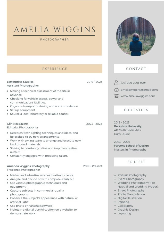 I will provide professional resume writing, CV writing services