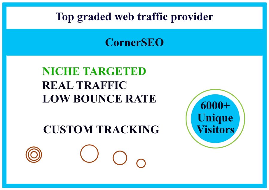 I will bring real visitors, targeted web traffic and secure service