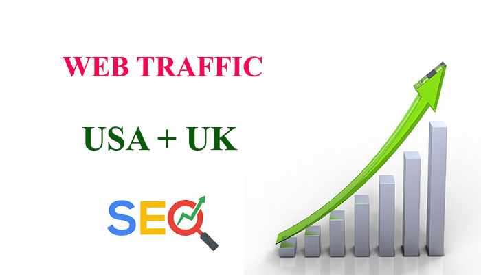 I will send real traffic USA , UK